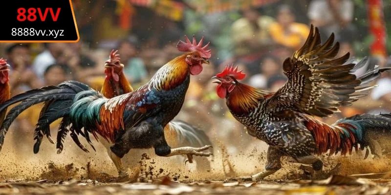 Giải trí chân thật nhờ cập nhật nhanh